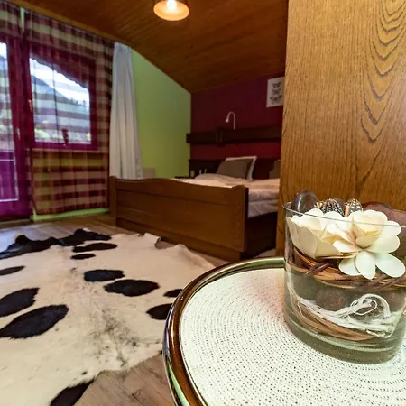 Guest house Chalet Janer
