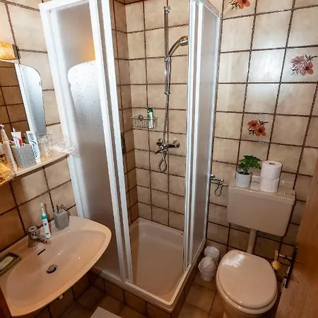 Chalet Janer Guest house Schladming