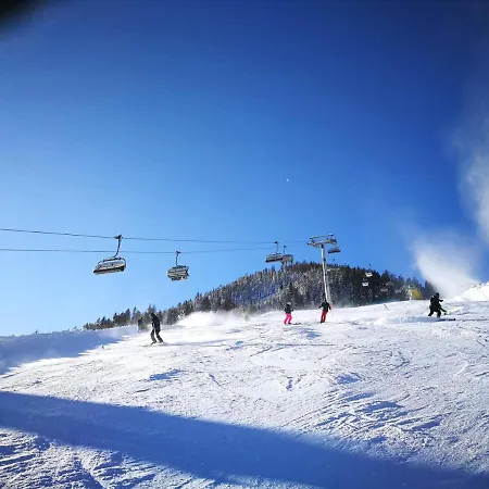 Chalet Janer * Schladming