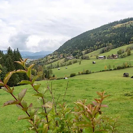 Chalet Janer Guest house *