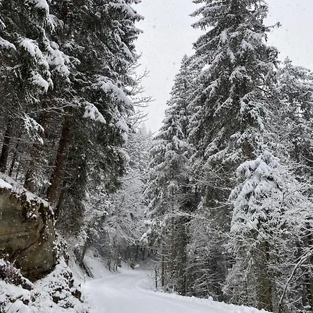 Chalet Janer Guest house *