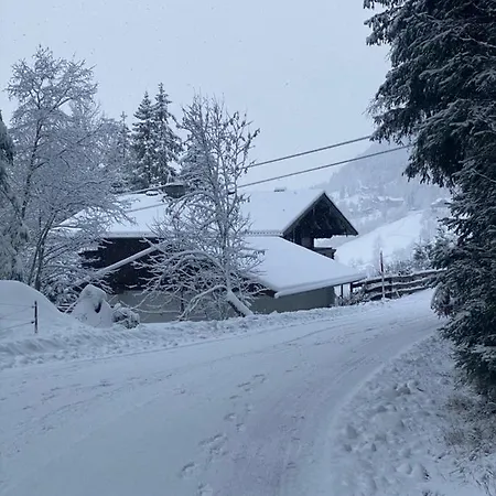 Chalet Janer Guest house *