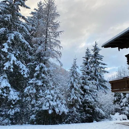 Guest house Chalet Janer