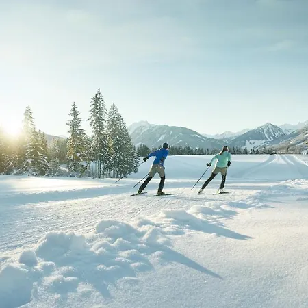Chalet Janer * Schladming